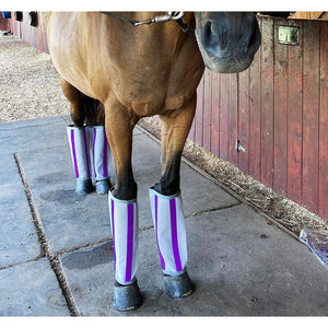 Fly-Bye Boots - Majyk Equipe