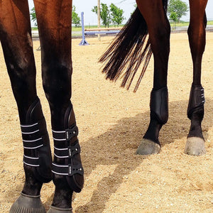 Boyd Martin All Leather Hind Boot with Removable Impact Liner - Majyk Equipe