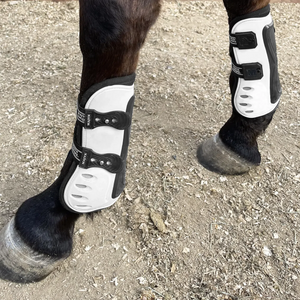 Boyd Martin Stadium Hind Jump Boot with ARTi-LAGE Technology - Majyk Equipe