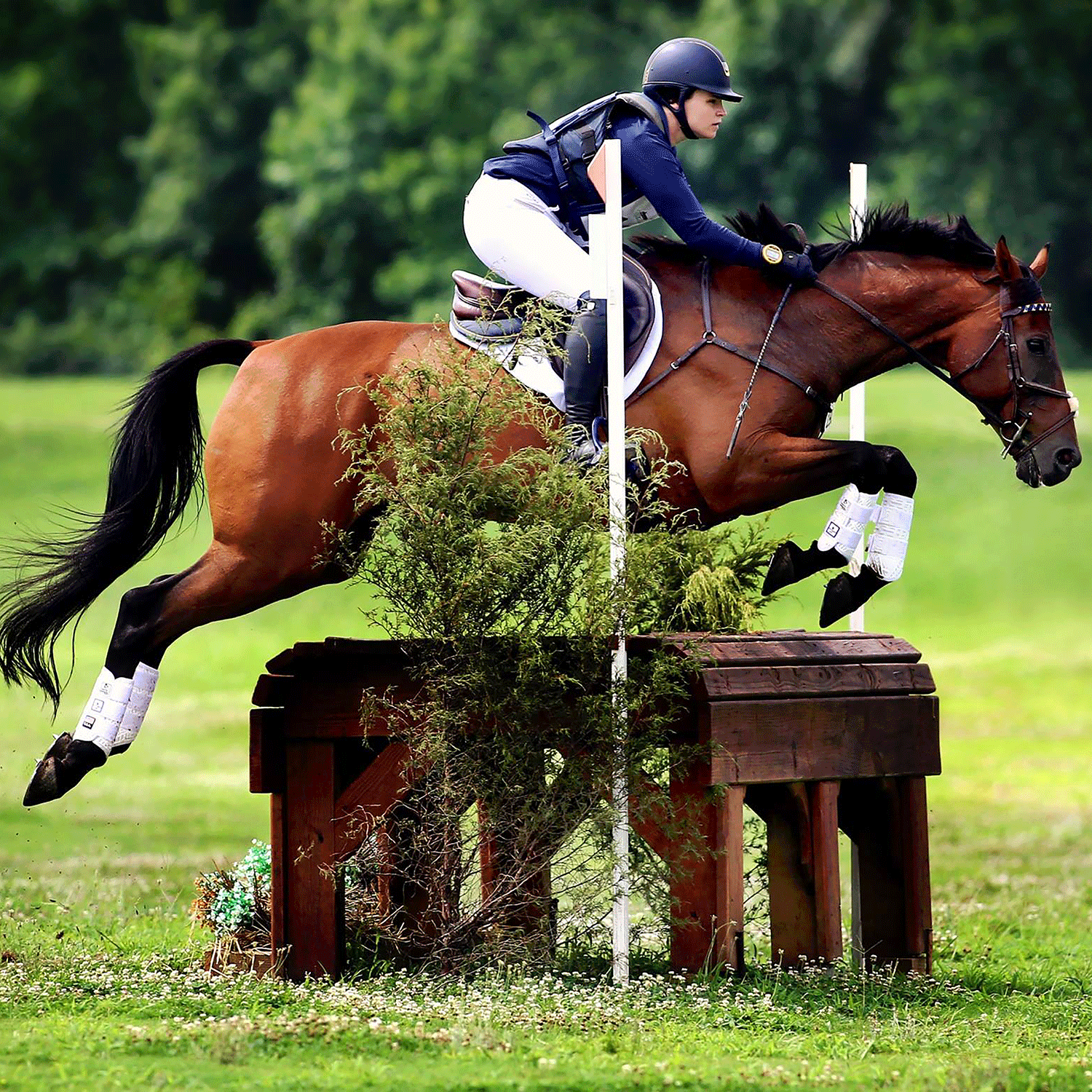 XC Elite Cross Country Front and Hind Set - Majyk Equipe