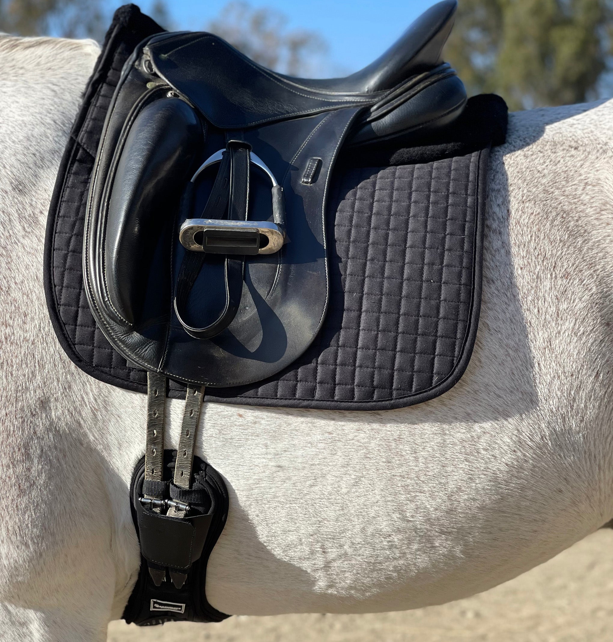 Ergonomics Spur Saver Dressage Girth with Buckle Guards - Majyk Equipe