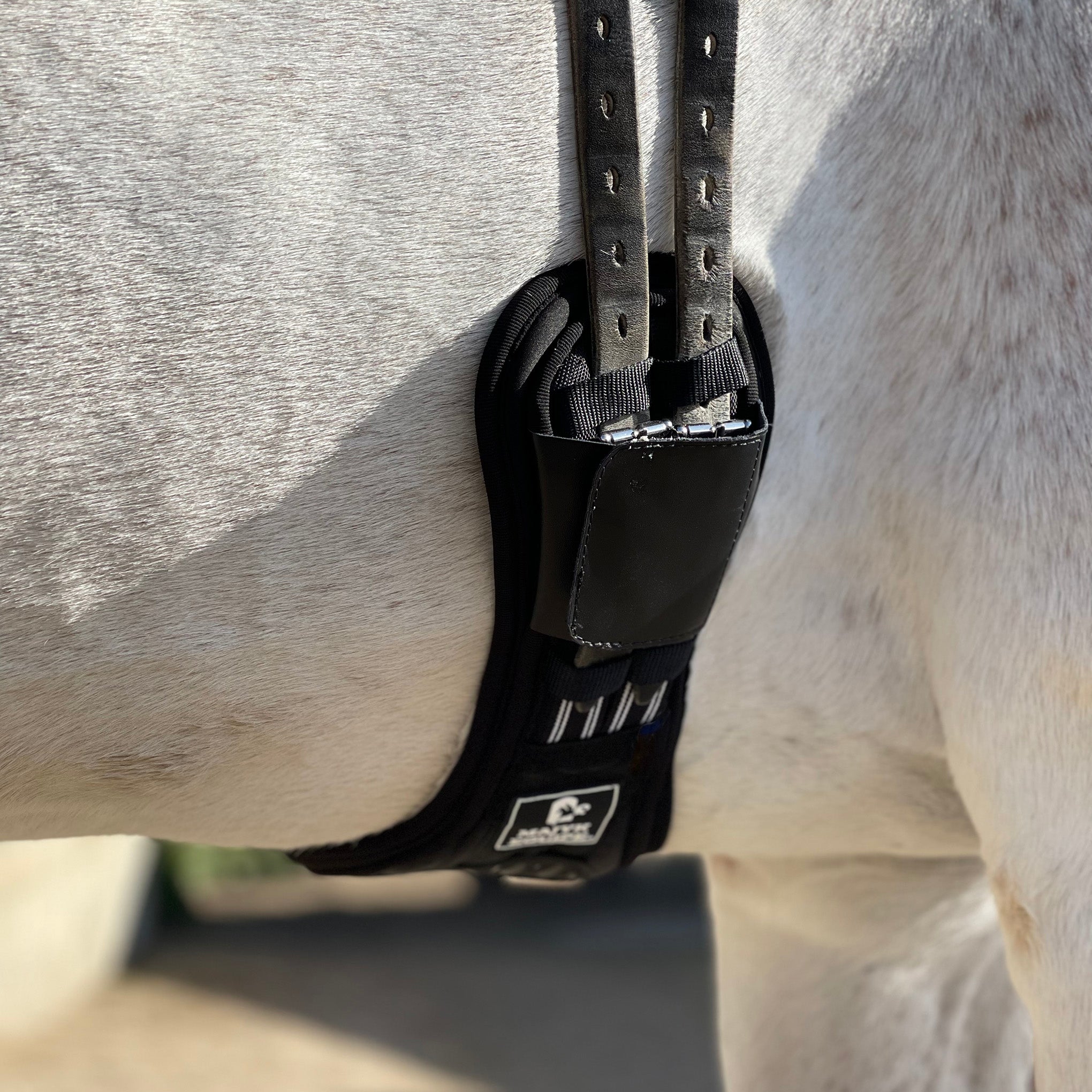 Ergonomics Spur Saver Dressage Girth with Buckle Guards - Majyk Equipe