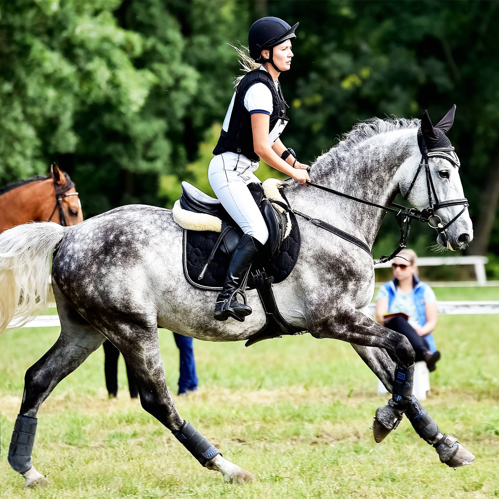 XC Elite Cross Country Front and Hind Set - Majyk Equipe