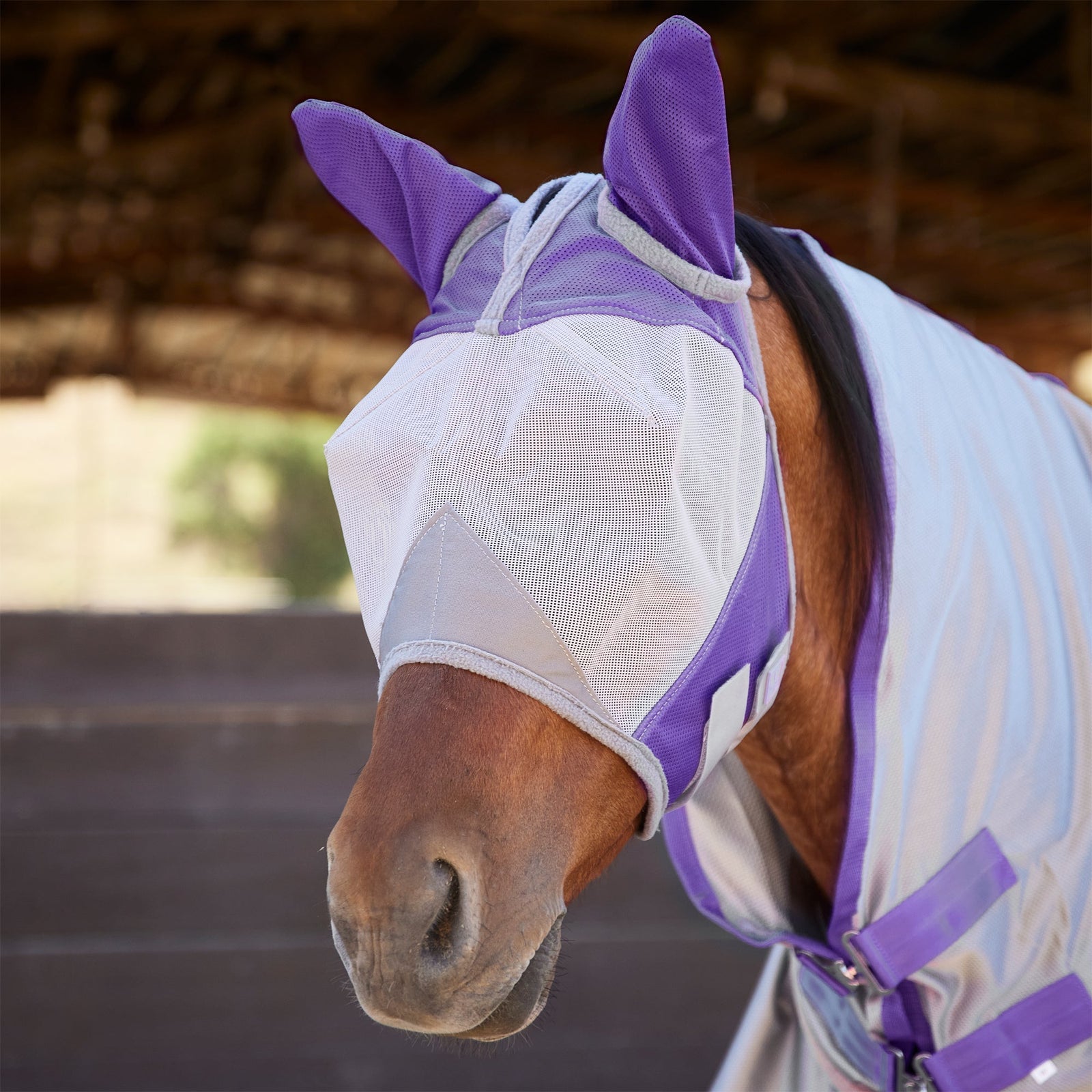 UV Protection Fly Mask - Majyk Equipe