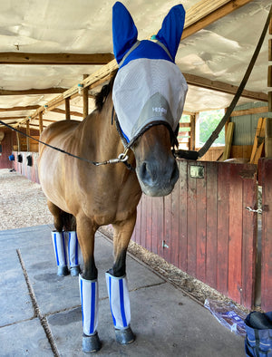 UV Protection Fly Mask