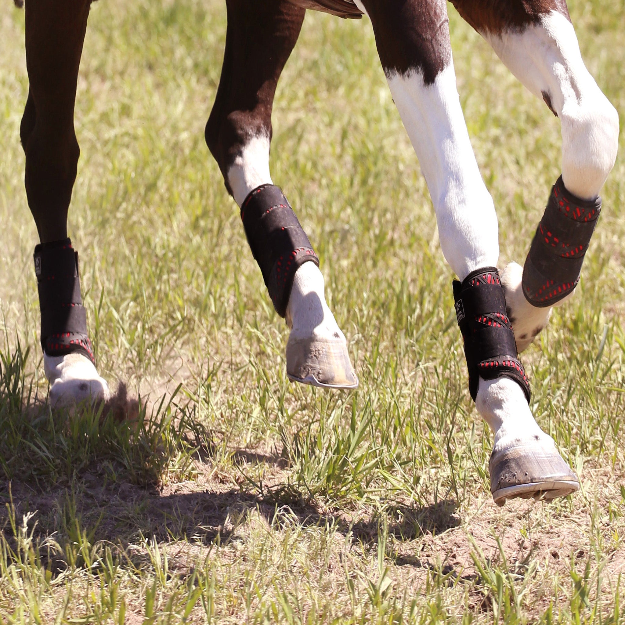 XC Elite Cross Country Front and Hind Set - Majyk Equipe