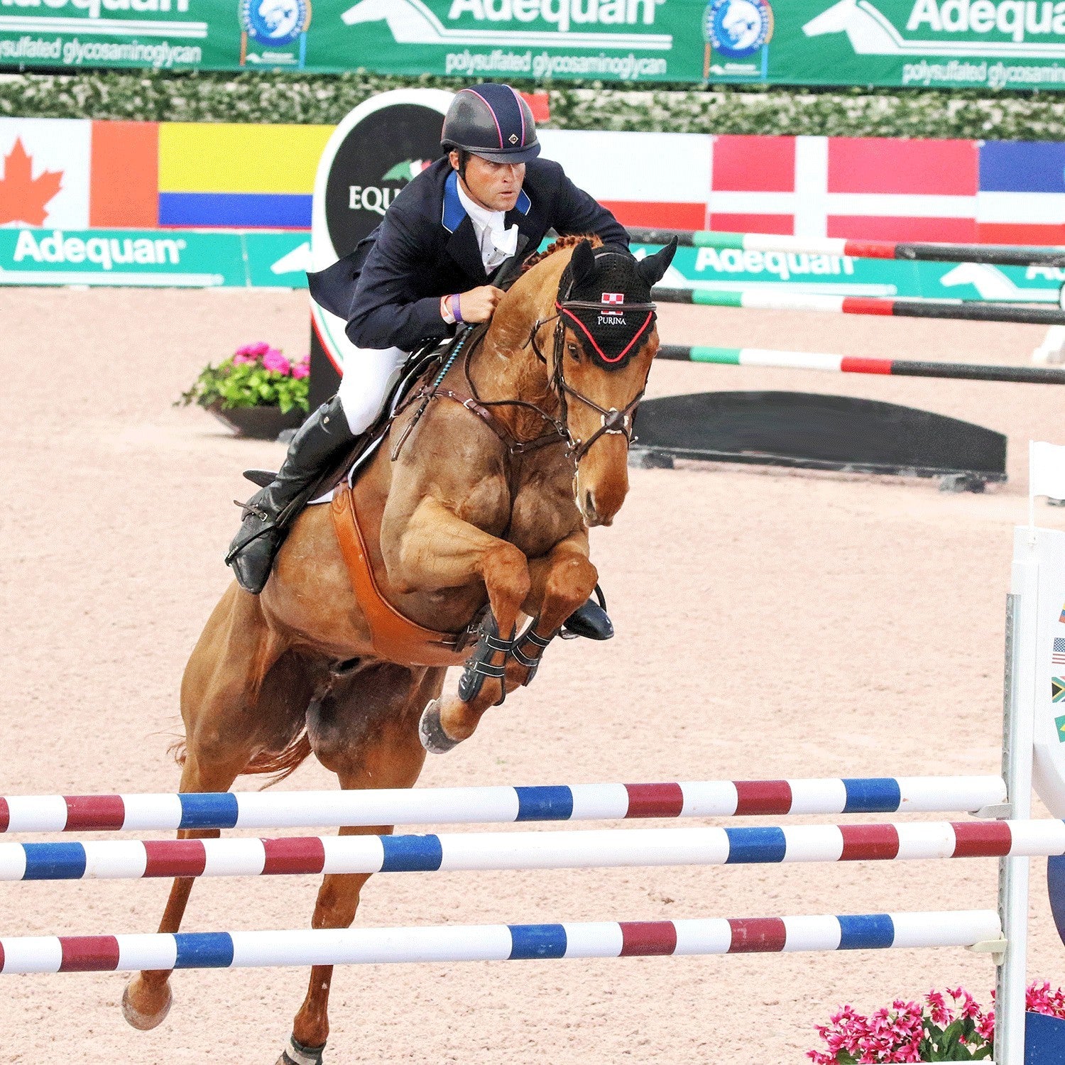 Boyd Martin Stadium Tendon Jump Boot with ARTi-LAGE Technology - Majyk Equipe