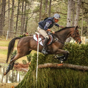 Eventing 4 Pack - (Fronts and Hinds) Boyd Martin Series - Majyk Equipe