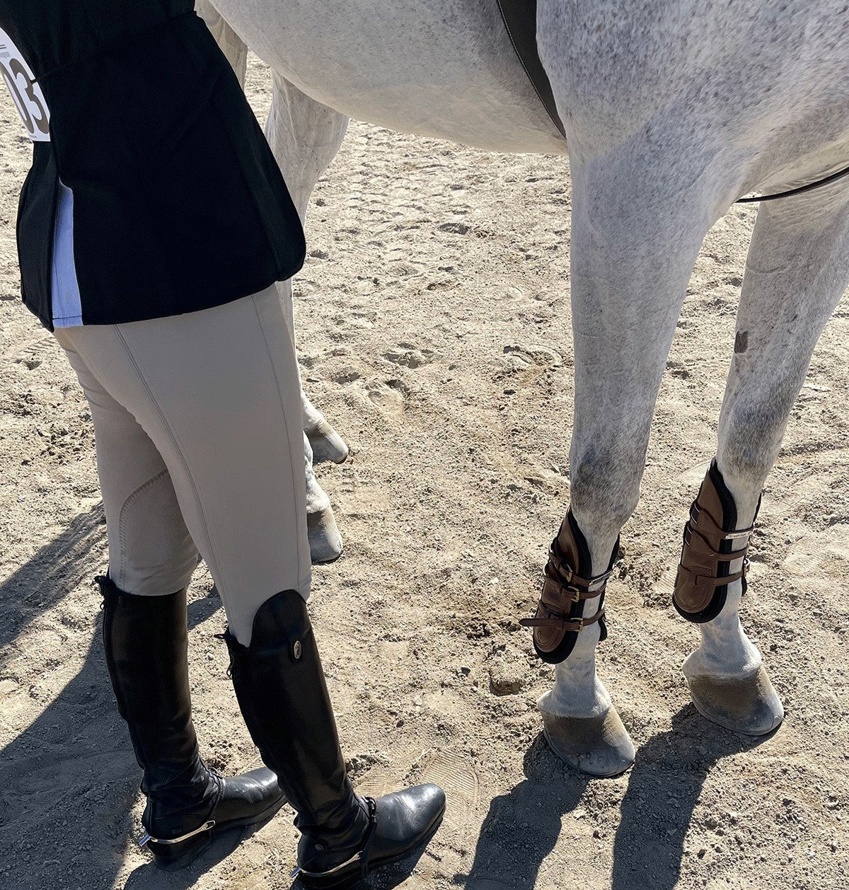 Equitation boots top for horses