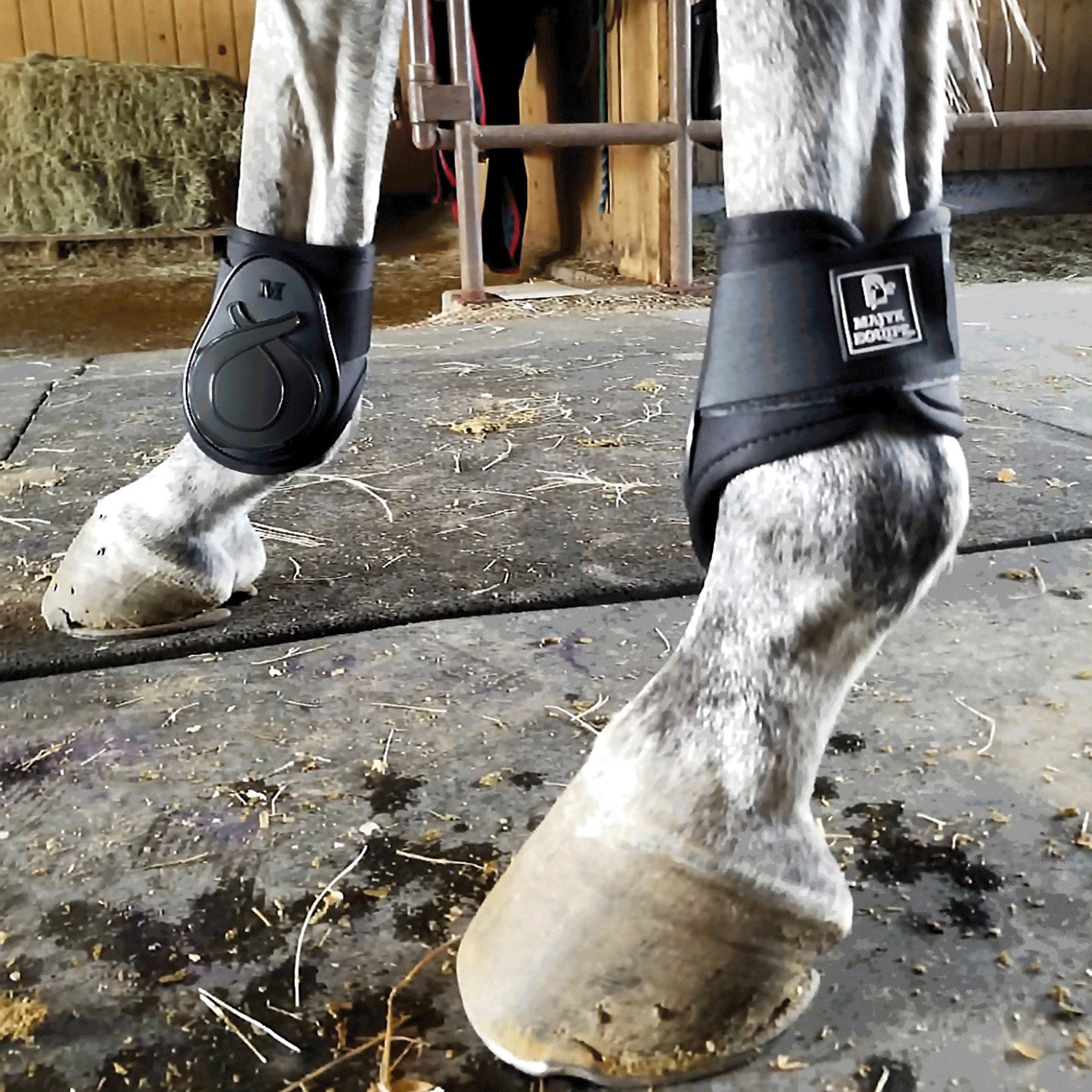 Infinity Fetlock Boots with ARTi-LAGE Technology (FEI Young Horse Comp ...