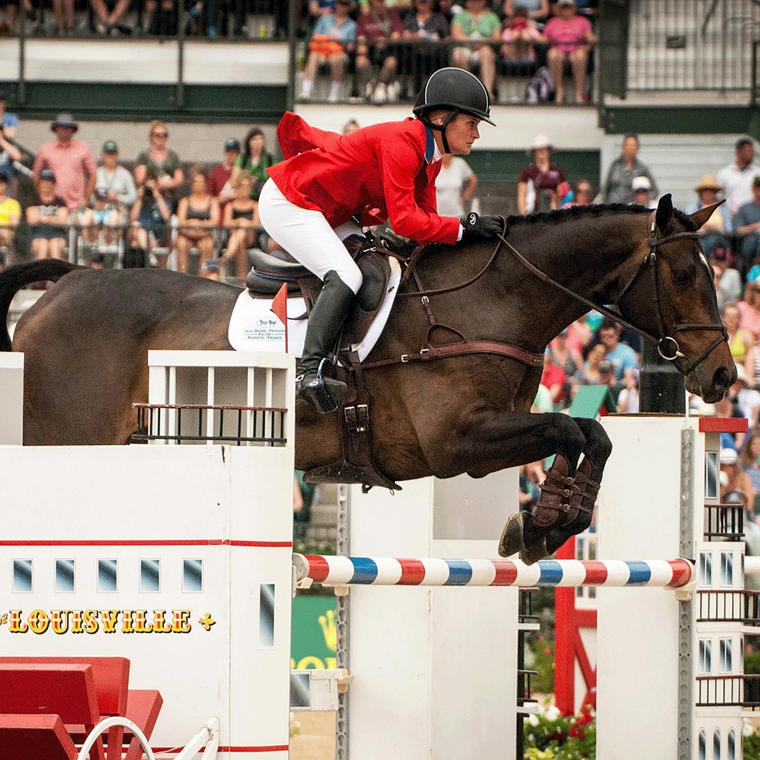 Leather Jumper or Equitation Tendon Boot with Impact Protective Removable Liners (Buckle Closures) - Majyk Equipe