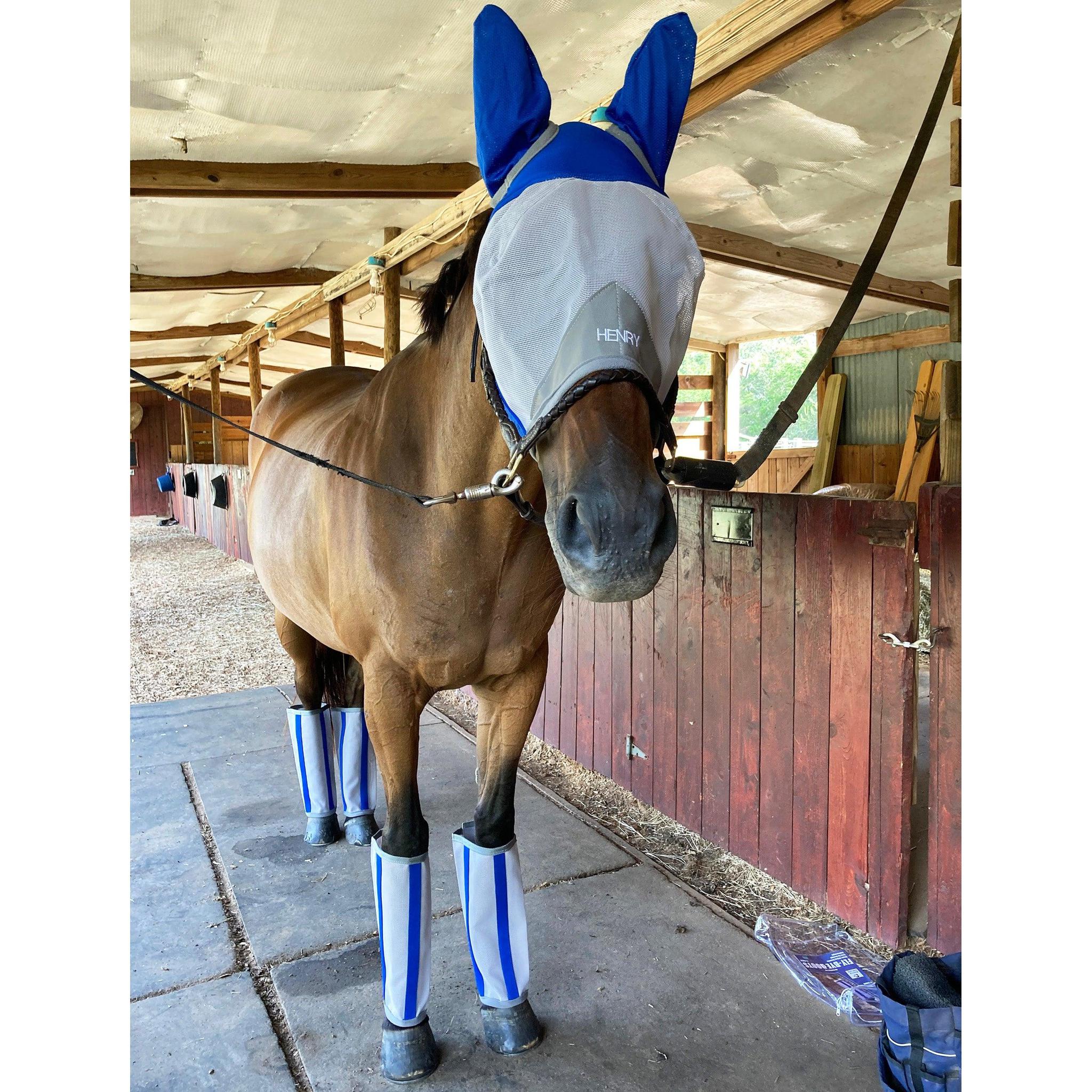 Equilibrium Field Relief Midi Fly Mask - No Ears - Black/Orange Equilibrium Field Relief Midi Fly Mask - No Ears - Black/Orange