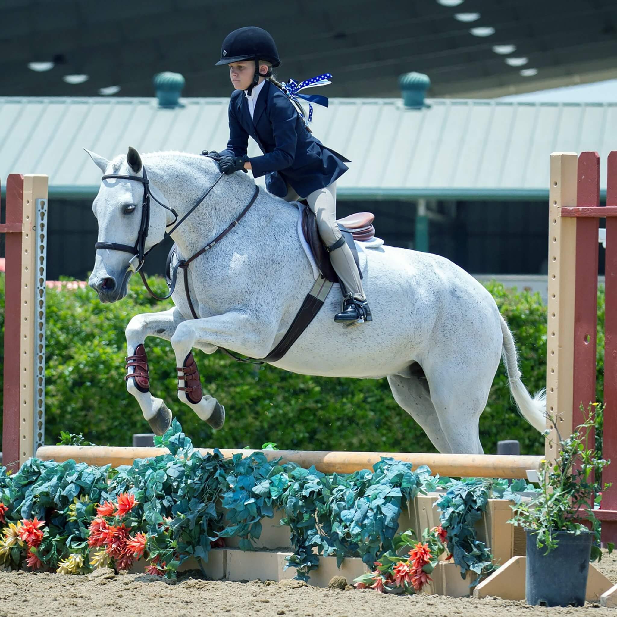 Leather Jumper or Equitation Tendon Boot with Impact Protective Removable Liners (Buckle Closures) - Majyk Equipe