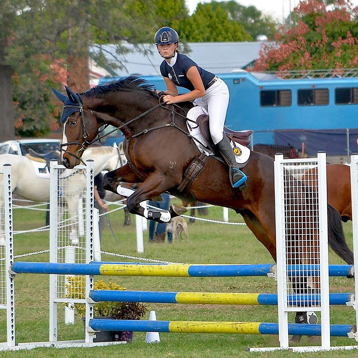 Infinity Fetlock Boots with ARTi-LAGE Technology (FEI Young Infinity Fetlock Boots with ARTi-LAGE Technology (FEI Young