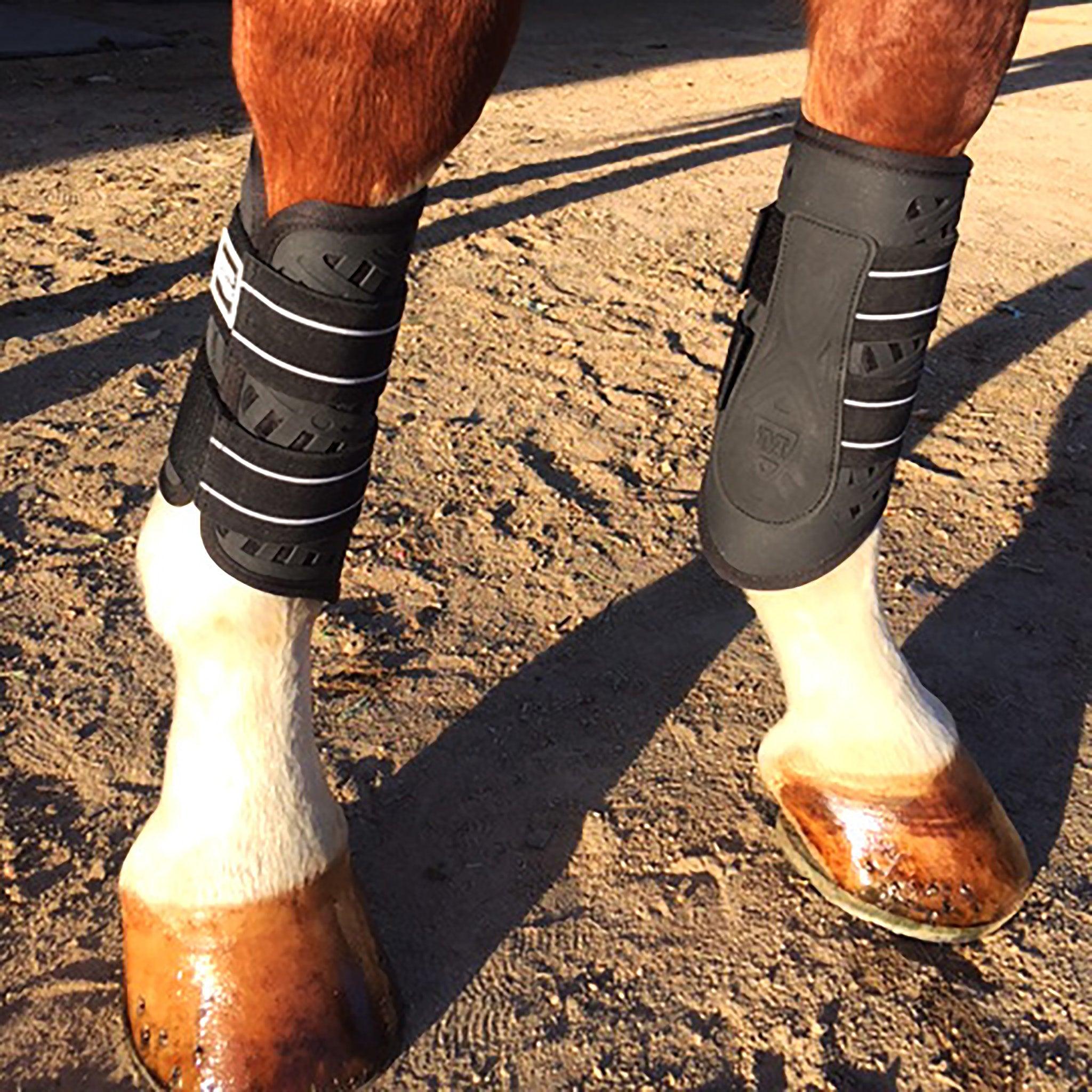 Sport Boot (Dressage) - Majyk Equipe